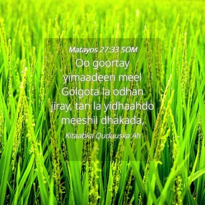 Picture 04 - Matayos 27:33 SOM - Oo goortay yimaadeen meel Golgota la odhan jiray, - Bible Verse Picture