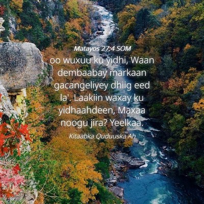 Picture 04 - Matayos 27:4 SOM - oo wuxuu ku yidhi, Waan dembaabay markaan - Bible Verse Picture