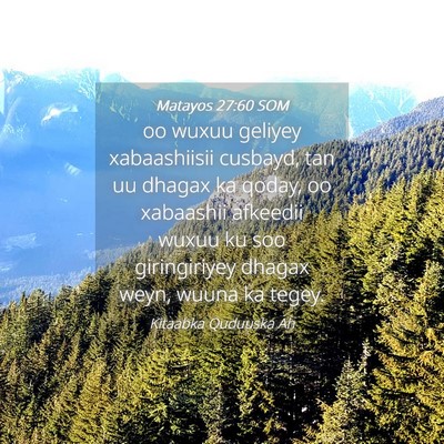 Picture 04 - Matayos 27:60 SOM - oo wuxuu geliyey xabaashiisii cusbayd, tan uu - Bible Verse Picture