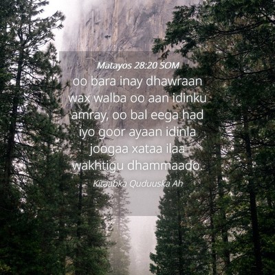 Picture 04 - Matayos 28:20 SOM - oo bara inay dhawraan wax walba oo aan idinku - Bible Verse Picture