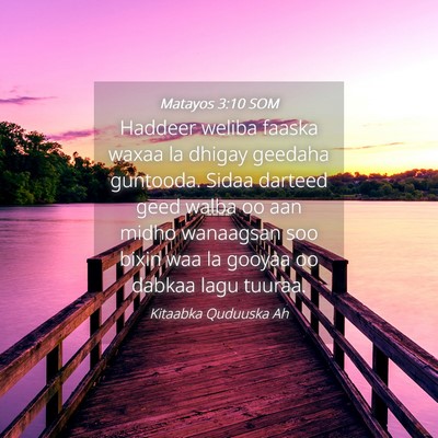 Picture 04 - Matayos 3:10 SOM - Haddeer weliba faaska waxaa la dhigay geedaha - Bible Verse Picture