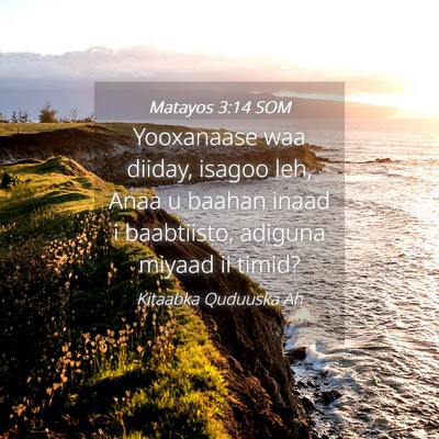 Picture 04 - Matayos 3:14 SOM - Yooxanaase waa diiday, isagoo leh, Anaa u baahan - Bible Verse Picture