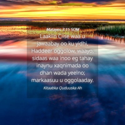 Picture 04 - Matayos 3:15 SOM - Laakiin Ciise waa u jawaabay oo ku yidhi, Haddeer - Bible Verse Picture