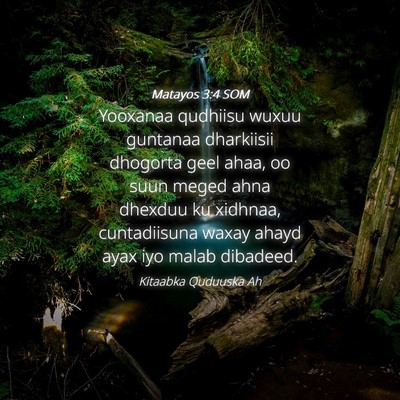 Picture 04 - Matayos 3:4 SOM - Yooxanaa qudhiisu wuxuu guntanaa dharkiisii - Bible Verse Picture