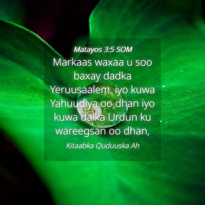 Picture 04 - Matayos 3:5 SOM - Markaas waxaa u soo baxay dadka Yeruusaalem, iyo - Bible Verse Picture