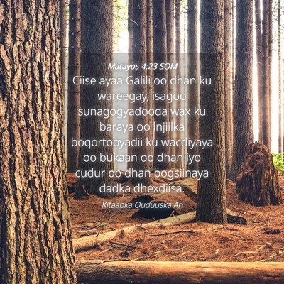 Picture 04 - Matayos 4:23 SOM - Ciise ayaa Galili oo dhan ku wareegay, isagoo - Bible Verse Picture