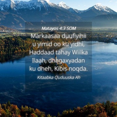 Picture 04 - Matayos 4:3 SOM - Markaasaa duufiyihii u yimid oo ku yidhi, Haddaad - Bible Verse Picture
