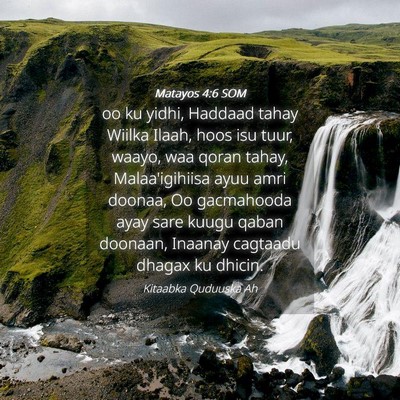 Picture 04 - Matayos 4:6 SOM - oo ku yidhi, Haddaad tahay Wiilka Ilaah, hoos isu - Bible Verse Picture