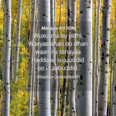 Picture 04 - Matayos 4:9 SOM - Wuxuuna ku yidhi, Waxyaalahan oo dhan waan ku - Bible Verse Picture