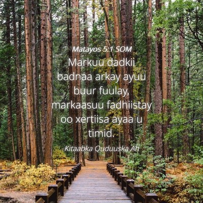 Picture 04 - Matayos 5:1 SOM - Markuu dadkii badnaa arkay ayuu buur fuulay, - Bible Verse Picture