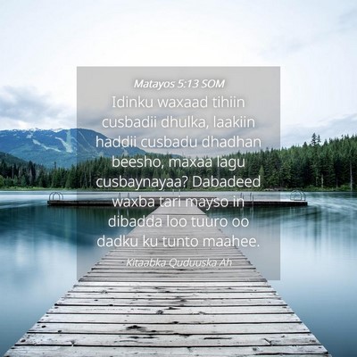 Picture 04 - Matayos 5:13 SOM - Idinku waxaad tihiin cusbadii dhulka, laakiin - Bible Verse Picture