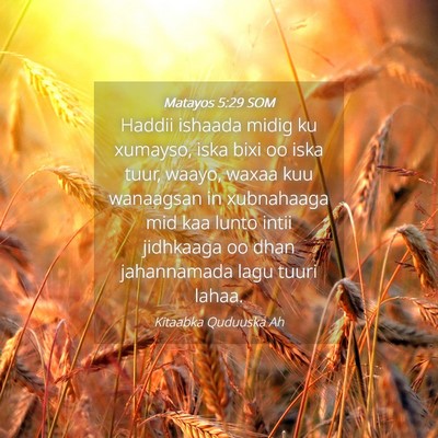 Picture 04 - Matayos 5:29 SOM - Haddii ishaada midig ku xumayso, iska bixi oo - Bible Verse Picture