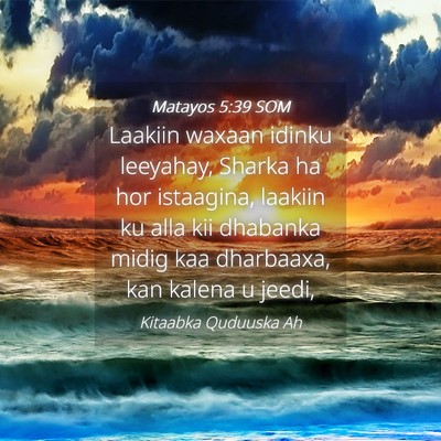 Picture 04 - Matayos 5:39 SOM - Laakiin waxaan idinku leeyahay, Sharka ha hor - Bible Verse Picture