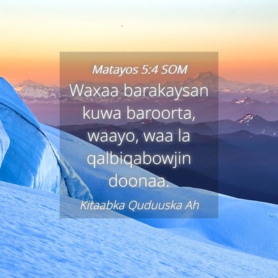 Picture 04 - Matayos 5:4 SOM - Waxaa barakaysan kuwa baroorta, waayo, waa la - Bible Verse Picture