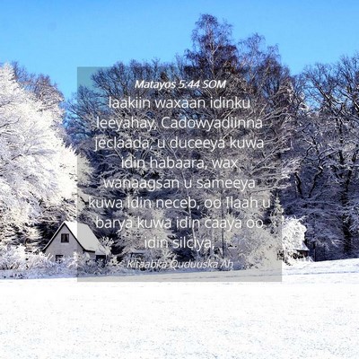 Picture 04 - Matayos 5:44 SOM - laakiin waxaan idinku leeyahay, Cadowyadiinna - Bible Verse Picture