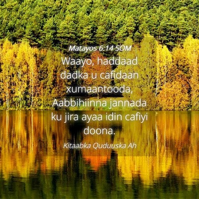 Picture 04 - Matayos 6:14 SOM - Waayo, haddaad dadka u cafidaan xumaantooda, - Bible Verse Picture