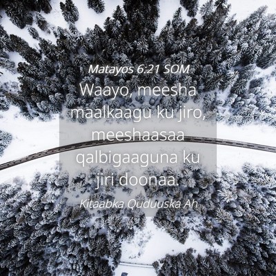 Picture 04 - Matayos 6:21 SOM - Waayo, meesha maalkaagu ku jiro, meeshaasaa - Bible Verse Picture