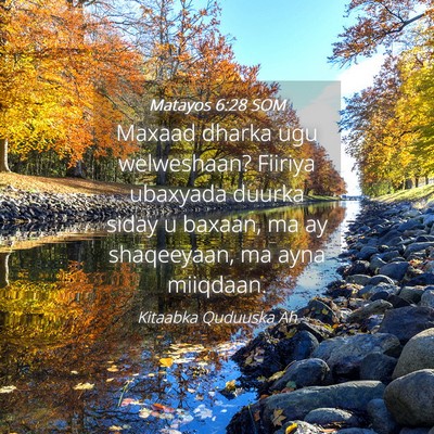 Picture 04 - Matayos 6:28 SOM - Maxaad dharka ugu welweshaan? Fiiriya ubaxyada - Bible Verse Picture