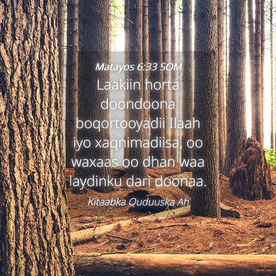 Picture 04 - Matayos 6:33 SOM - Laakiin horta doondoona boqortooyadii Ilaah iyo - Bible Verse Picture