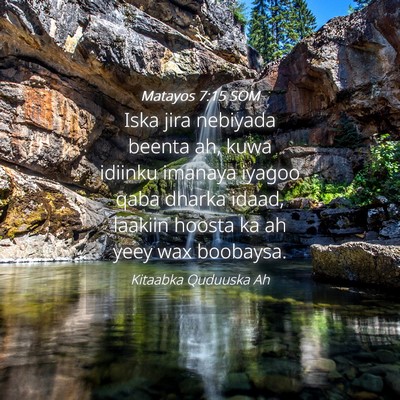Picture 04 - Matayos 7:15 SOM - Iska jira nebiyada beenta ah, kuwa idiinku - Bible Verse Picture