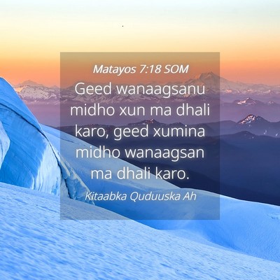 Picture 04 - Matayos 7:18 SOM - Geed wanaagsanu midho xun ma dhali karo, geed - Bible Verse Picture