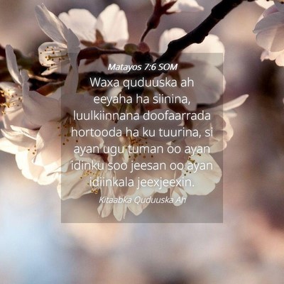 Picture 04 - Matayos 7:6 SOM - Waxa quduuska ah eeyaha ha siinina, luulkiinnana - Bible Verse Picture
