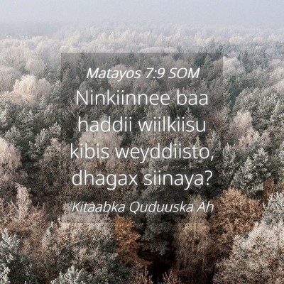 Picture 04 - Matayos 7:9 SOM - Ninkiinnee baa haddii wiilkiisu kibis weyddiisto, - Bible Verse Picture