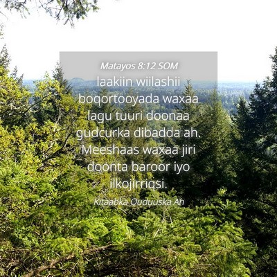 Picture 04 - Matayos 8:12 SOM - laakiin wiilashii boqortooyada waxaa lagu tuuri - Bible Verse Picture