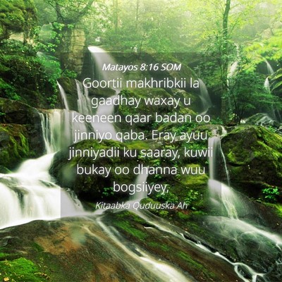 Picture 04 - Matayos 8:16 SOM - Goortii makhribkii la gaadhay waxay u keeneen - Bible Verse Picture