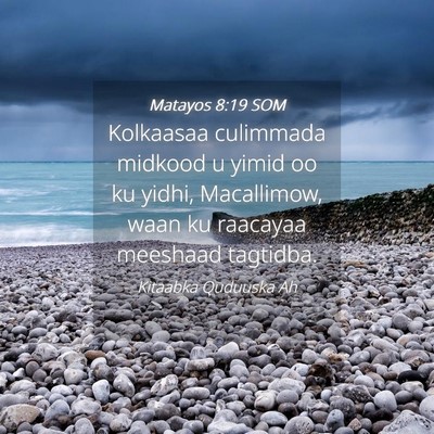 Picture 04 - Matayos 8:19 SOM - Kolkaasaa culimmada midkood u yimid oo ku yidhi, - Bible Verse Picture