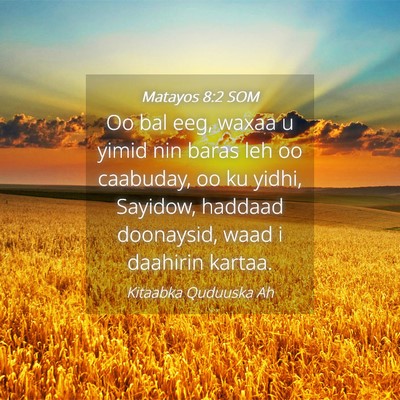 Picture 04 - Matayos 8:2 SOM - Oo bal eeg, waxaa u yimid nin baras leh oo - Bible Verse Picture