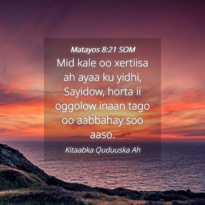 Picture 04 - Matayos 8:21 SOM - Mid kale oo xertiisa ah ayaa ku yidhi, Sayidow, - Bible Verse Picture
