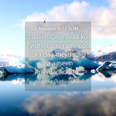 Picture 04 - Matayos 8:22 SOM - Laakiin Ciise ayaa ku yidhi, I soo raac; oo iska - Bible Verse Picture
