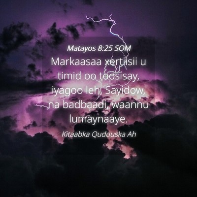 Picture 04 - Matayos 8:25 SOM - Markaasaa xertiisii u timid oo toosisay, iyagoo - Bible Verse Picture