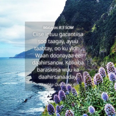 Picture 04 - Matayos 8:3 SOM - Ciise intuu gacantiisa soo taagay, ayuu taabtay, - Bible Verse Picture