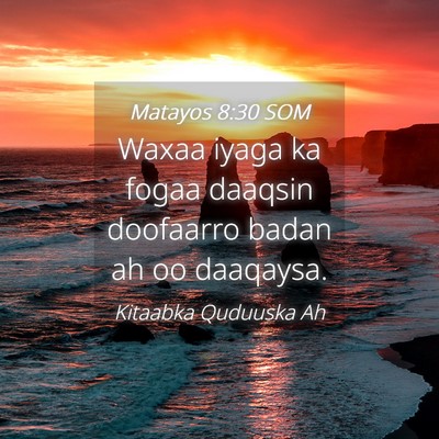 Picture 04 - Matayos 8:30 SOM - Waxaa iyaga ka fogaa daaqsin doofaarro badan ah - Bible Verse Picture