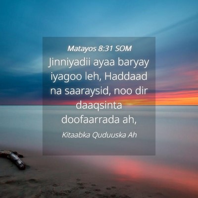 Picture 04 - Matayos 8:31 SOM - Jinniyadii ayaa baryay iyagoo leh, Haddaad na - Bible Verse Picture