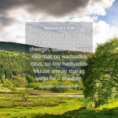 Picture 04 - Matayos 8:4 SOM - oo Ciise ayaa ku yidhi, Iska eeg, oo ninna ha u - Bible Verse Picture