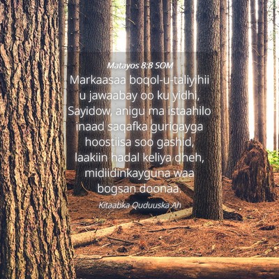 Picture 04 - Matayos 8:8 SOM - Markaasaa boqol-u-taliyihii u jawaabay oo ku - Bible Verse Picture