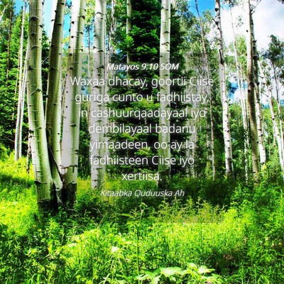 Picture 04 - Matayos 9:10 SOM - Waxaa dhacay, goortii Ciise guriga cunto u - Bible Verse Picture