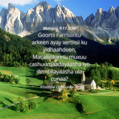 Picture 04 - Matayos 9:11 SOM - Goortii Farrisiintu arkeen ayay xertiisii ku - Bible Verse Picture