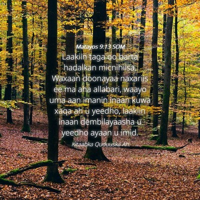 Picture 04 - Matayos 9:13 SOM - Laakiin taga oo barta hadalkan micnihiisa, Waxaan - Bible Verse Picture