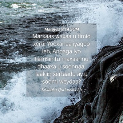 Picture 04 - Matayos 9:14 SOM - Markaas waxaa u timid xertii Yooxanaa iyagoo leh, - Bible Verse Picture