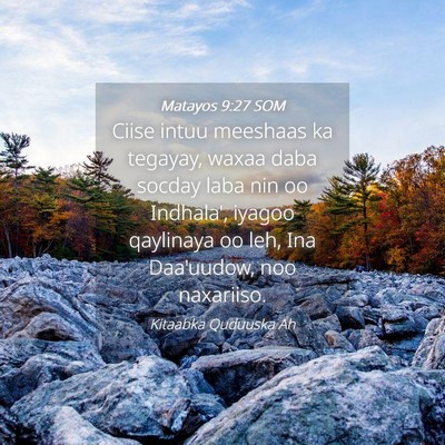 Picture 04 - Matayos 9:27 SOM - Ciise intuu meeshaas ka tegayay, waxaa daba - Bible Verse Picture