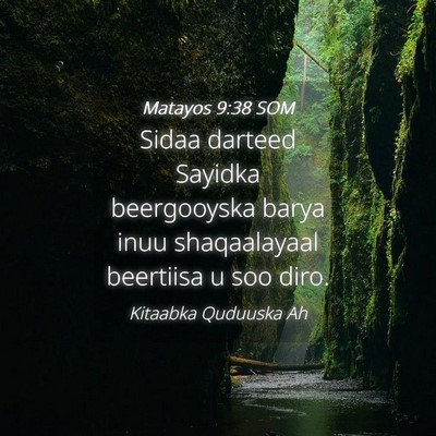 Picture 04 - Matayos 9:38 SOM - Sidaa darteed Sayidka beergooyska barya inuu - Bible Verse Picture