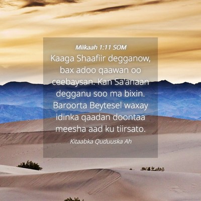 Picture 04 - Miikaah 1:11 SOM - Kaaga Shaafiir degganow, bax adoo qaawan oo - Bible Verse Picture