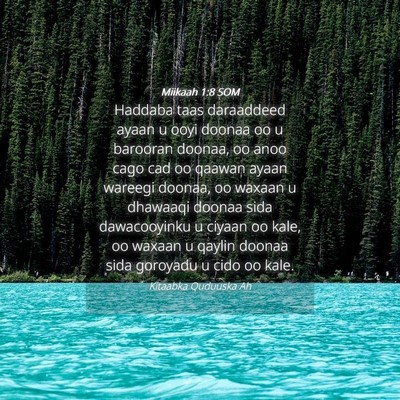 Picture 04 - Miikaah 1:8 SOM - Haddaba taas daraaddeed ayaan u ooyi doonaa oo u - Bible Verse Picture