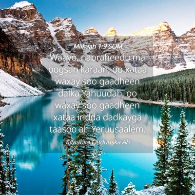 Picture 04 - Miikaah 1:9 SOM - Waayo, nabraheedu ma bogsan karaan, oo xataa - Bible Verse Picture