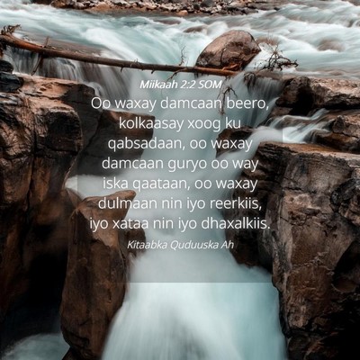 Picture 04 - Miikaah 2:2 SOM - Oo waxay damcaan beero, kolkaasay xoog ku - Bible Verse Picture