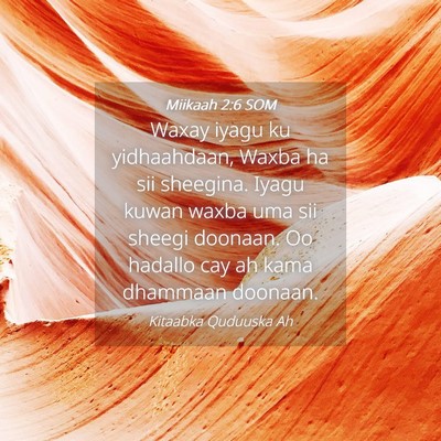 Picture 04 - Miikaah 2:6 SOM - Waxay iyagu ku yidhaahdaan, Waxba ha sii - Bible Verse Picture